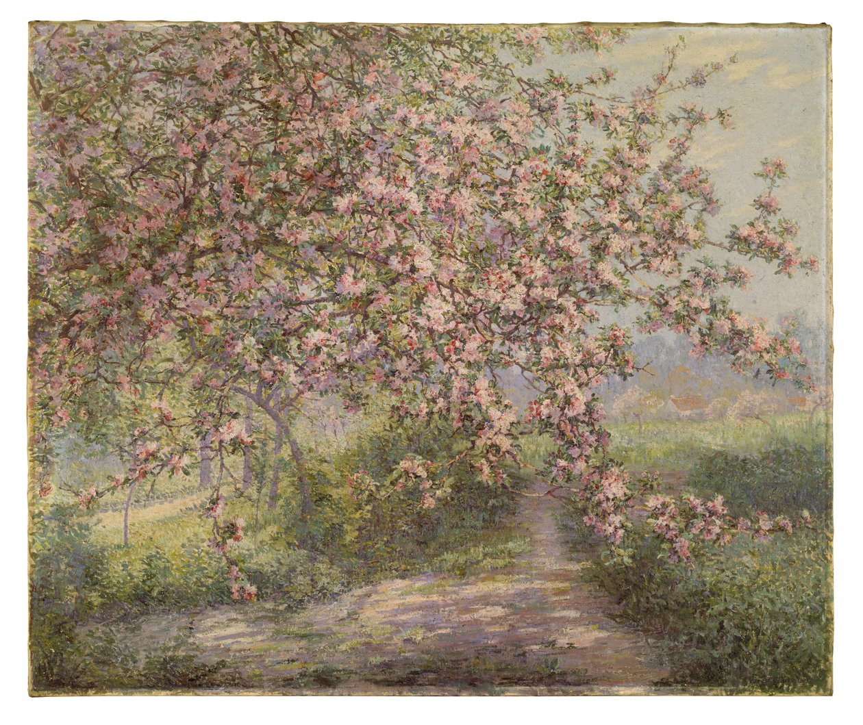 Et blomstrende æbletræ (olie på lærred) af Juliette Wytsman