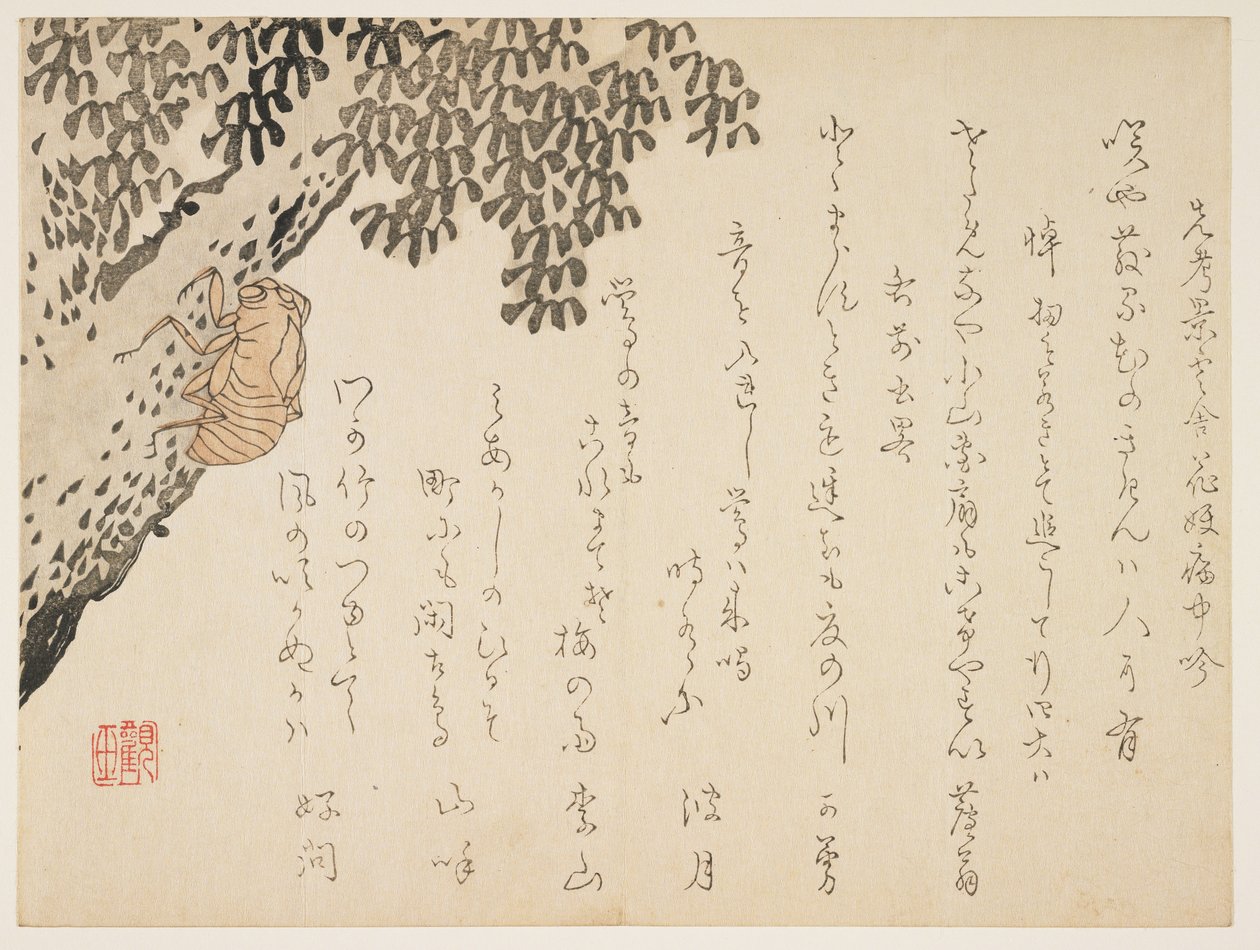 Skal af en cikade, ca. 1848-53 (træbloktryk i farver) af Kangyoku Hgan