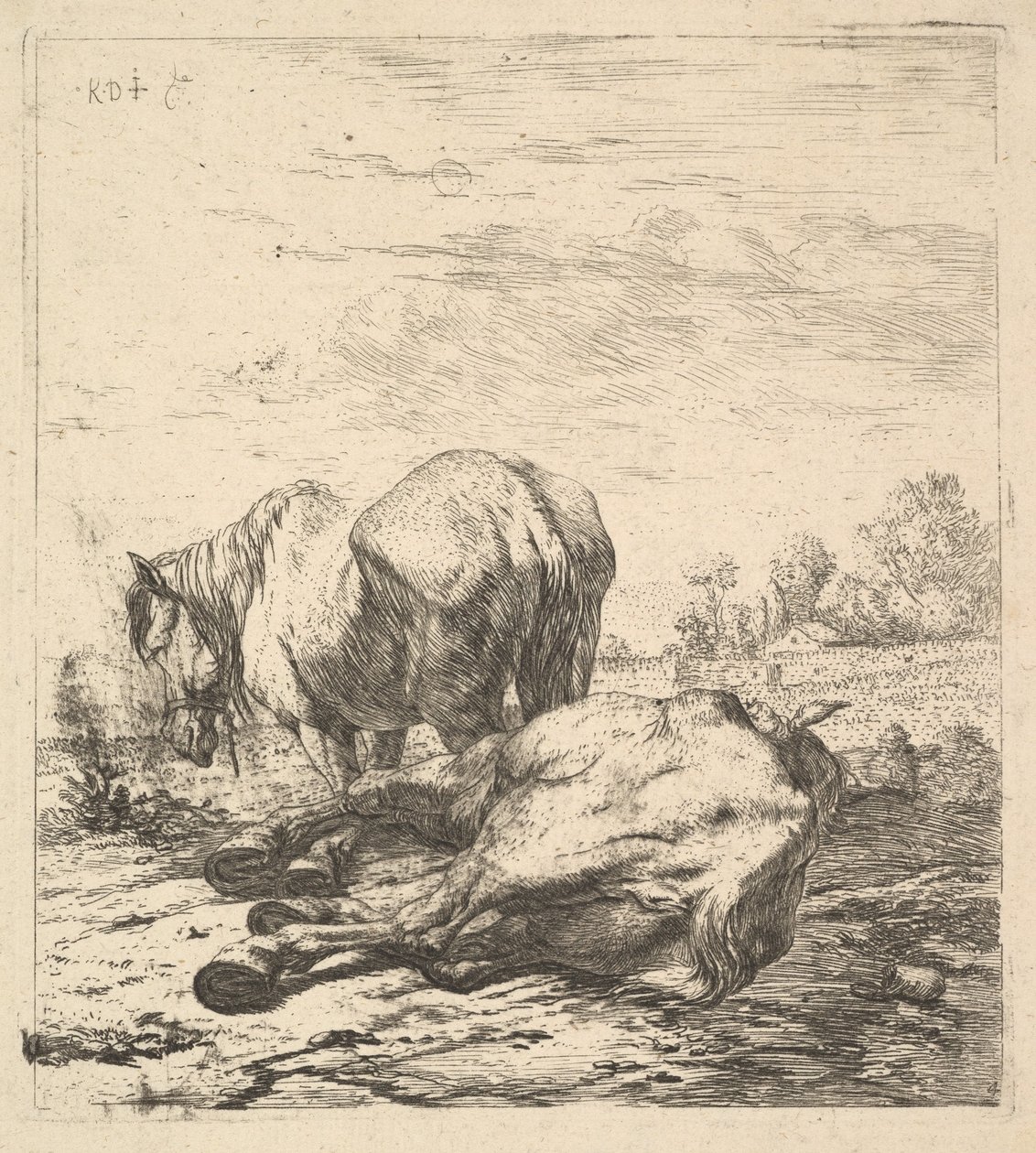 De to heste, 1600-tallet. af Karel Du Jardin