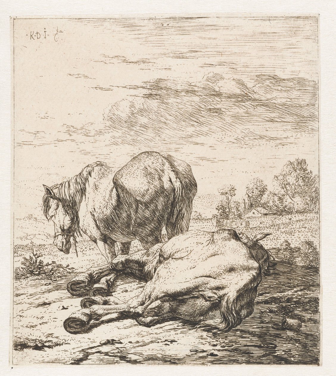 To heste Dyr (serietitel) af Karel Du Jardin
