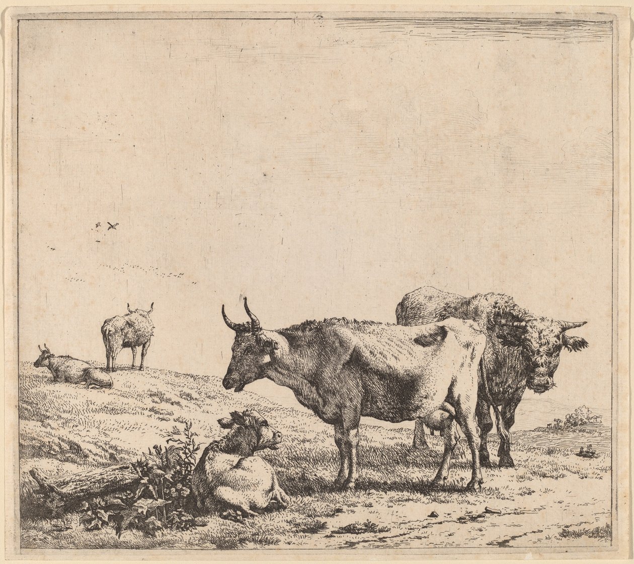Ko, Tyr og Kalv af Karel Dujardin