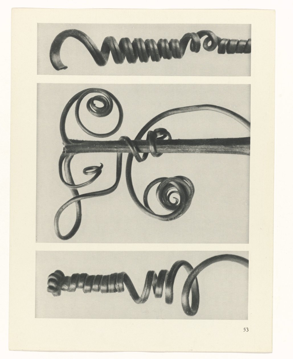 planlægge undersøgelse Arketyper af kunst (serietitel) af Karl Blossfeldt