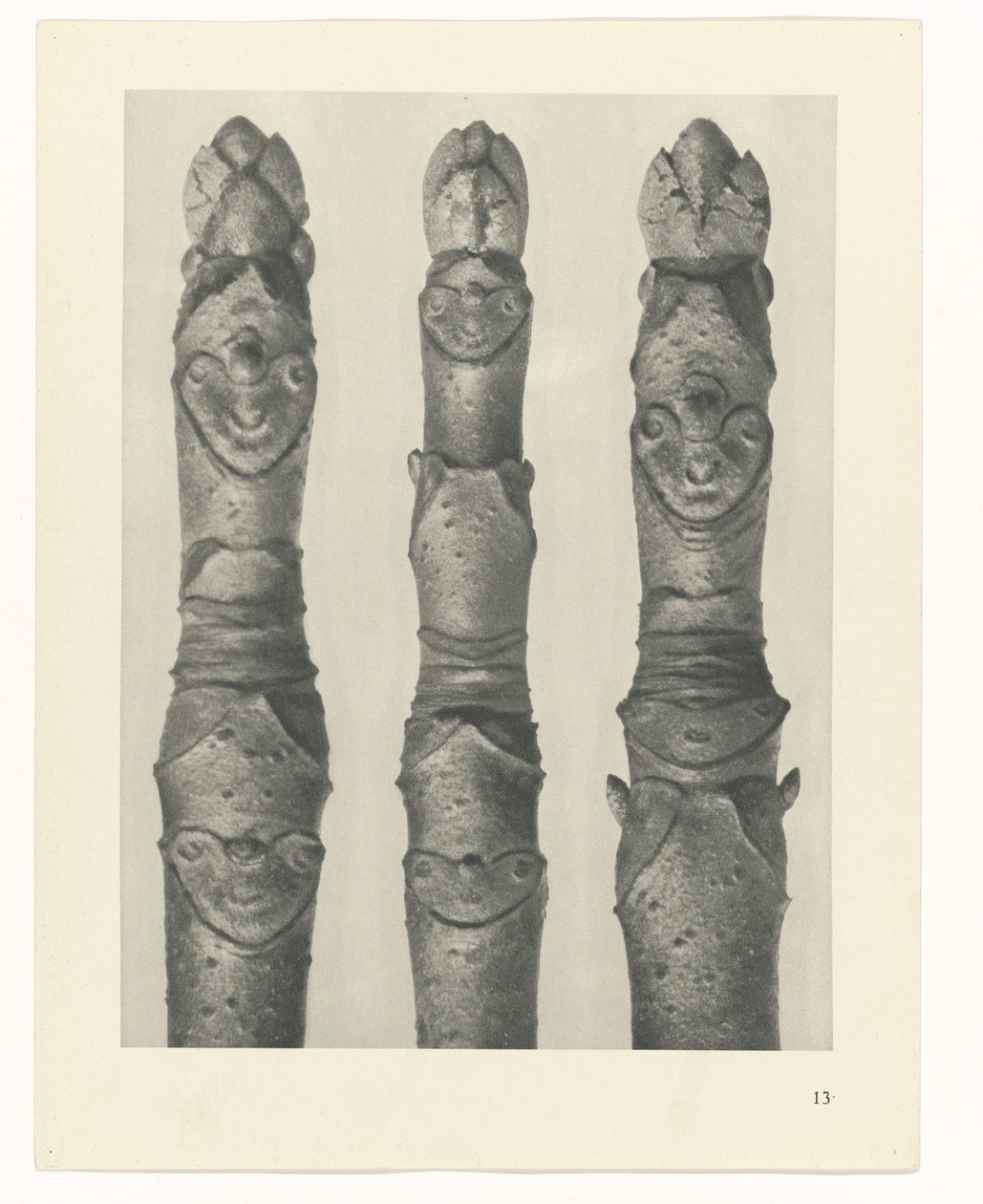 planlægge undersøgelse Arketyper af kunst (serietitel) af Karl Blossfeldt