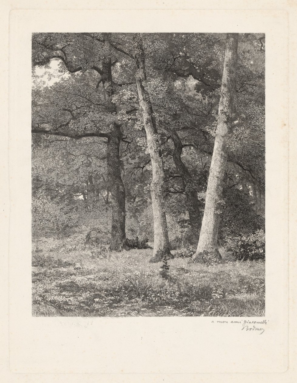En Skovrydning. af Karl Bodmer