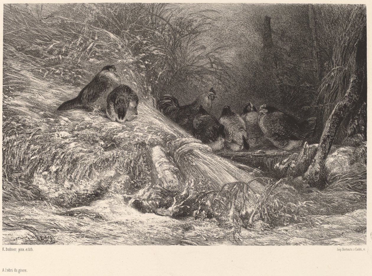 Beskyttet mod frost. af Karl Bodmer
