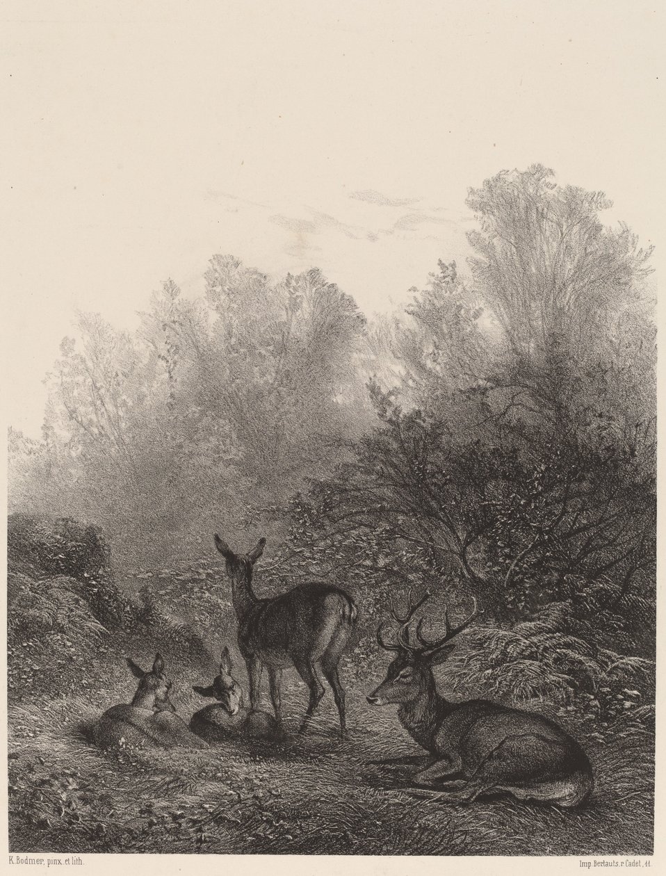 Hinder i hvile. af Karl Bodmer