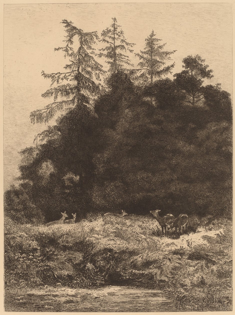Dådyr i en park af Karl Bodmer