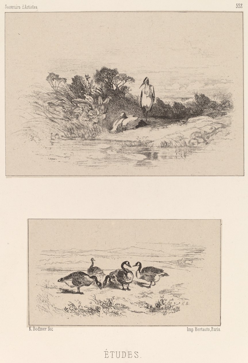 Studier. af Karl Bodmer