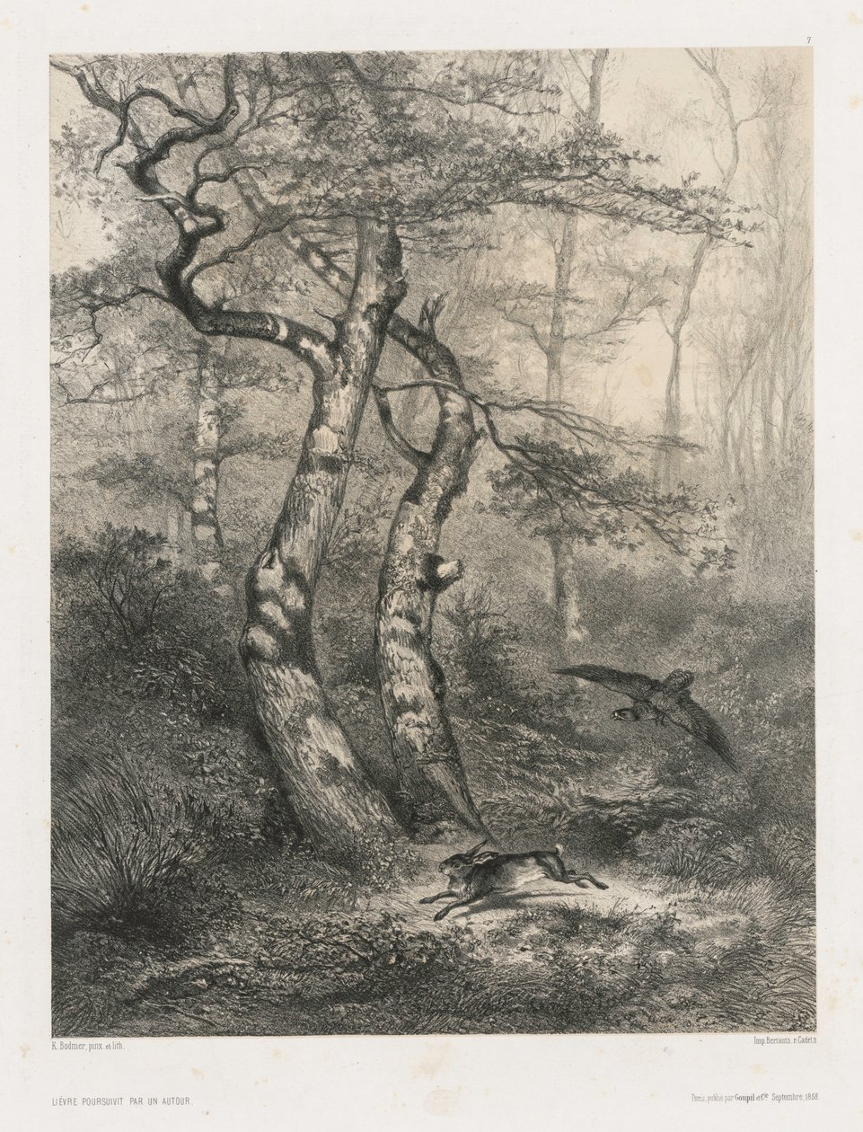Hare forfulgt af en gåhøg, 1858. af Karl Bodmer