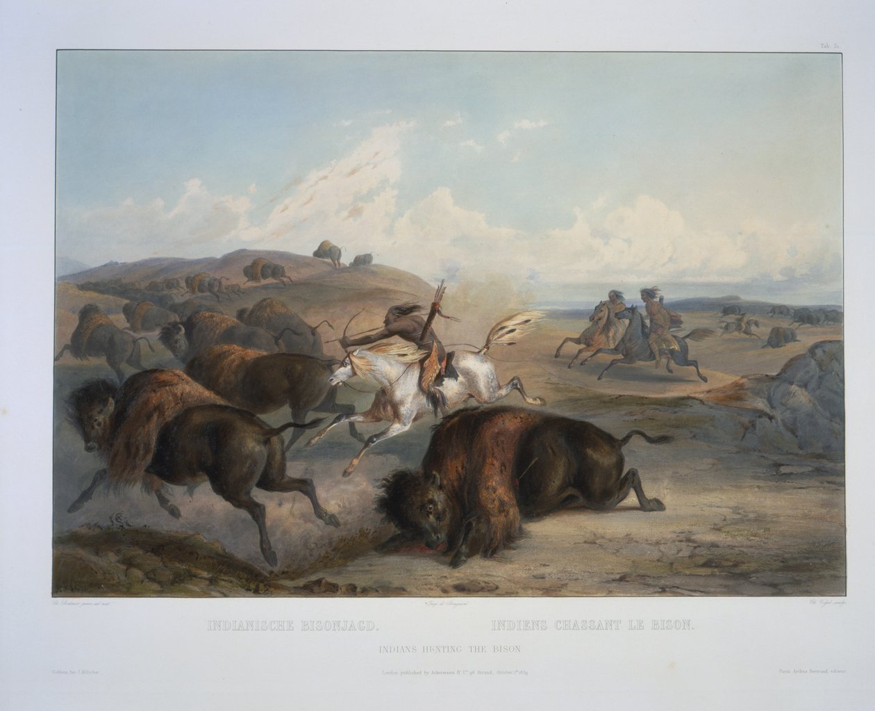 Indianere, der jager bisonerne af Karl Bodmer