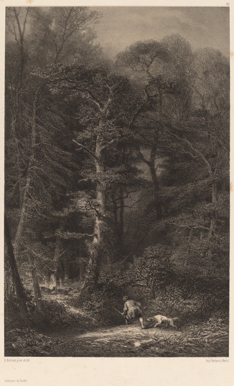 Skovens indre. af Karl Bodmer