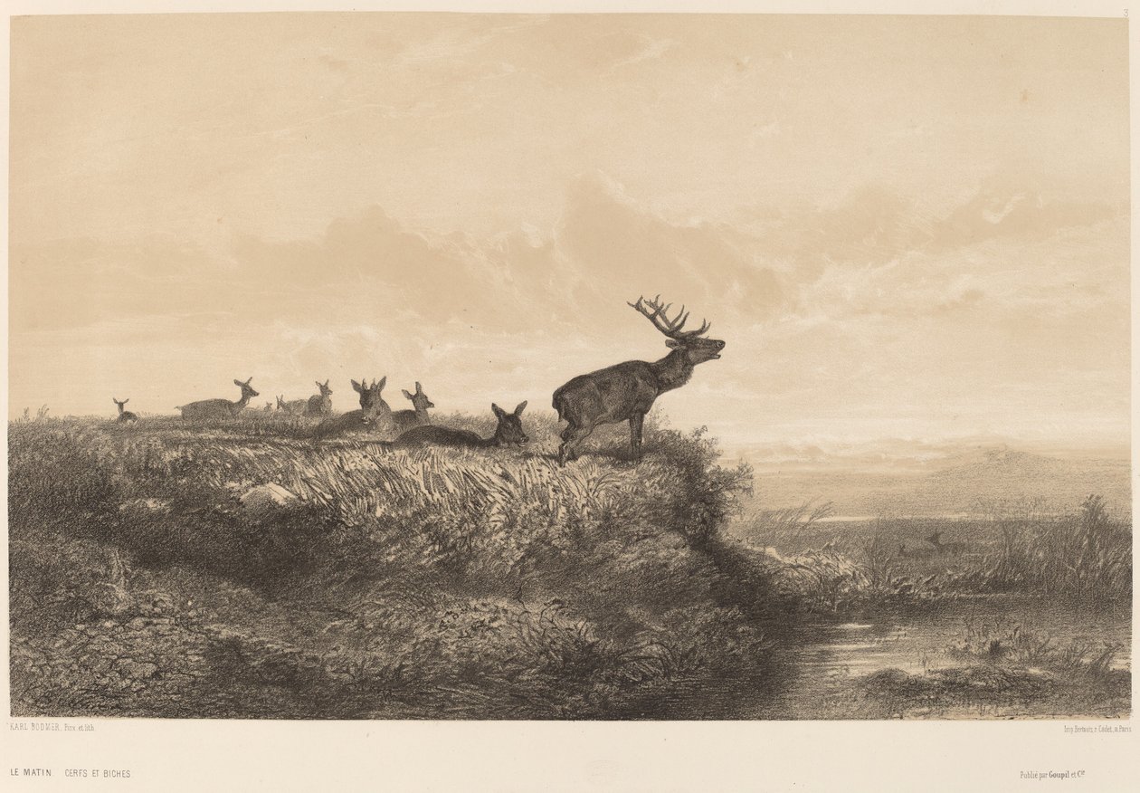 Morgenen af Karl Bodmer
