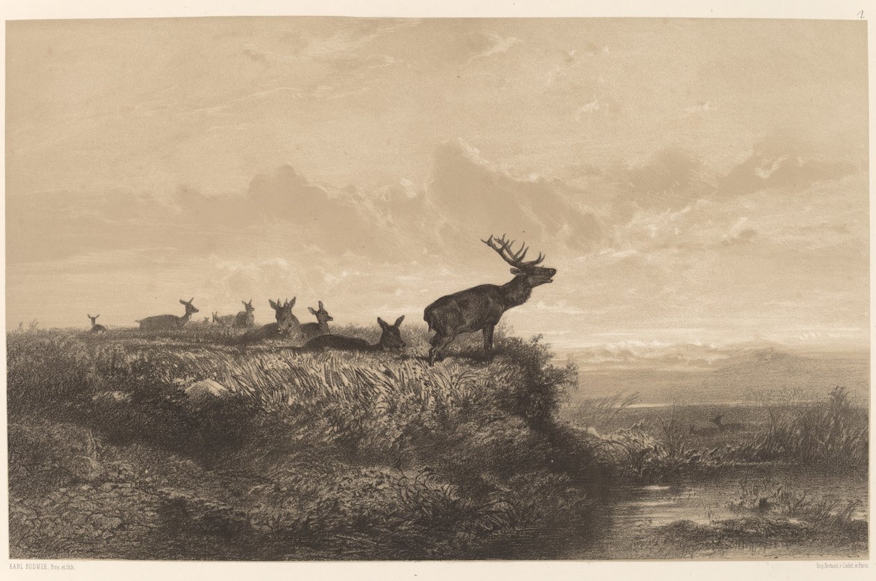 Morgenen. Hjorte og Hinder af Karl Bodmer