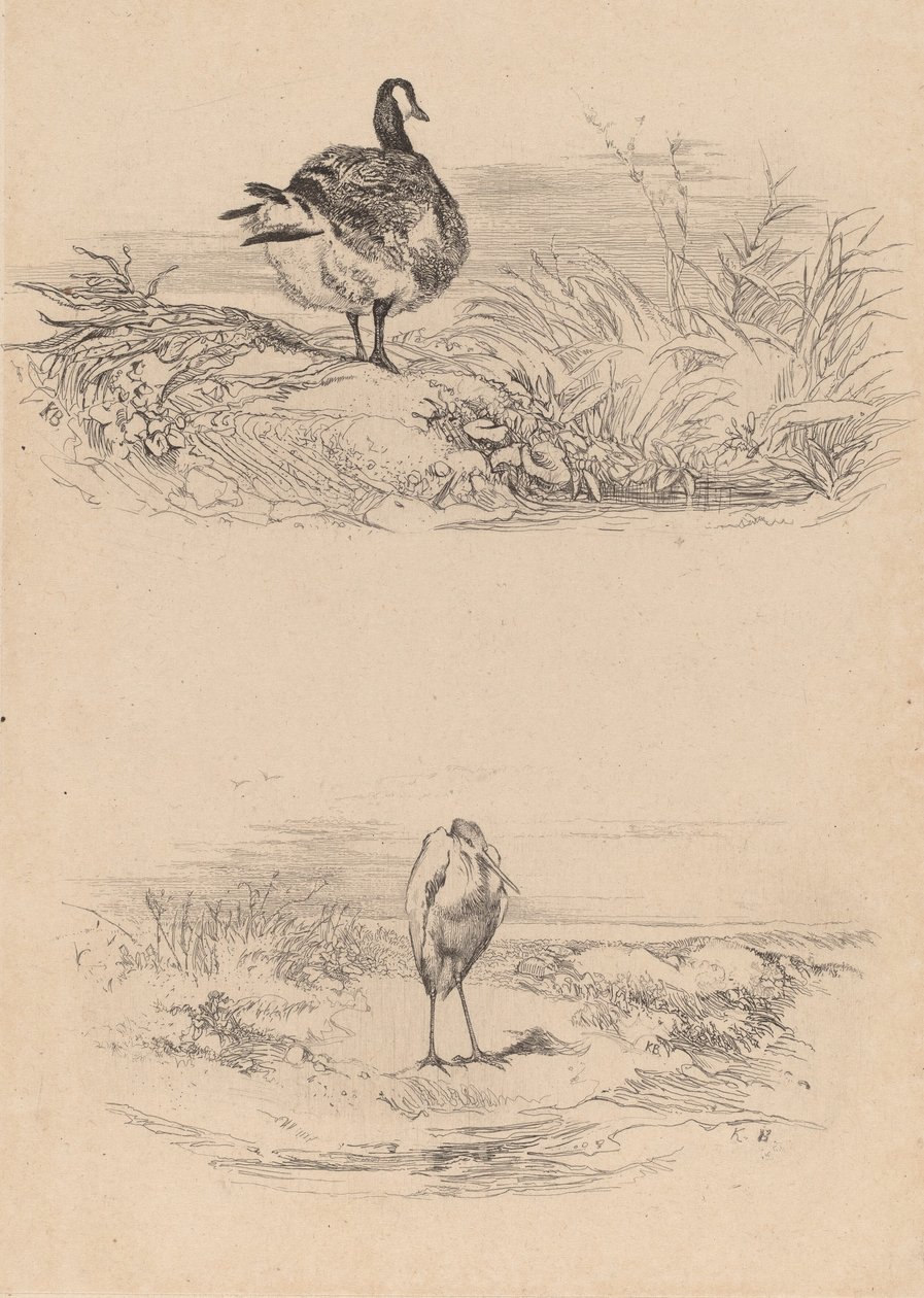 Hoi, Heron. af Karl Bodmer