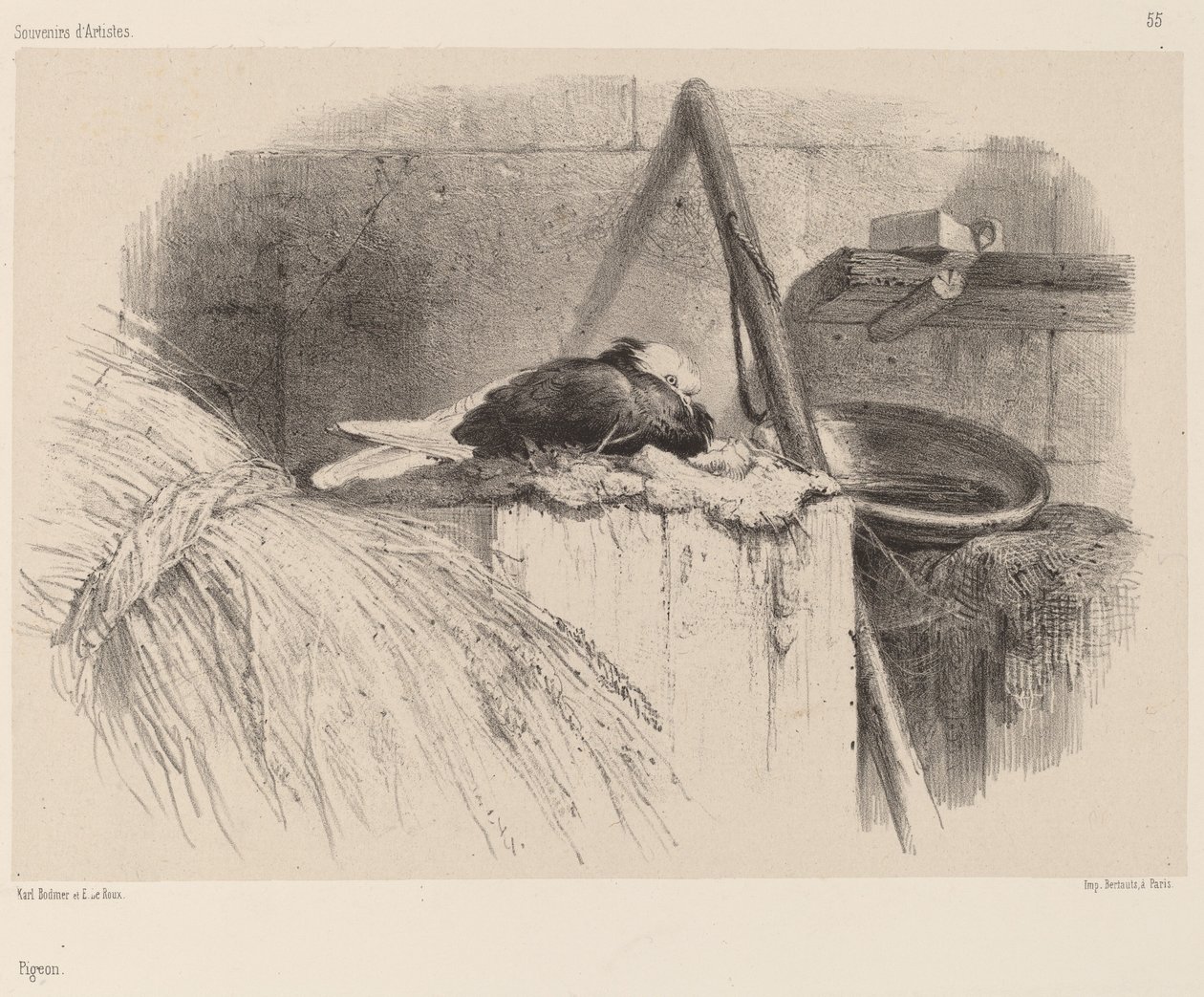 Due. af Karl Bodmer
