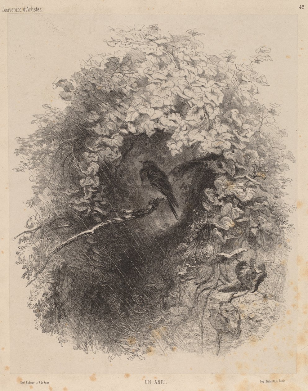 Et Shelter af Karl Bodmer