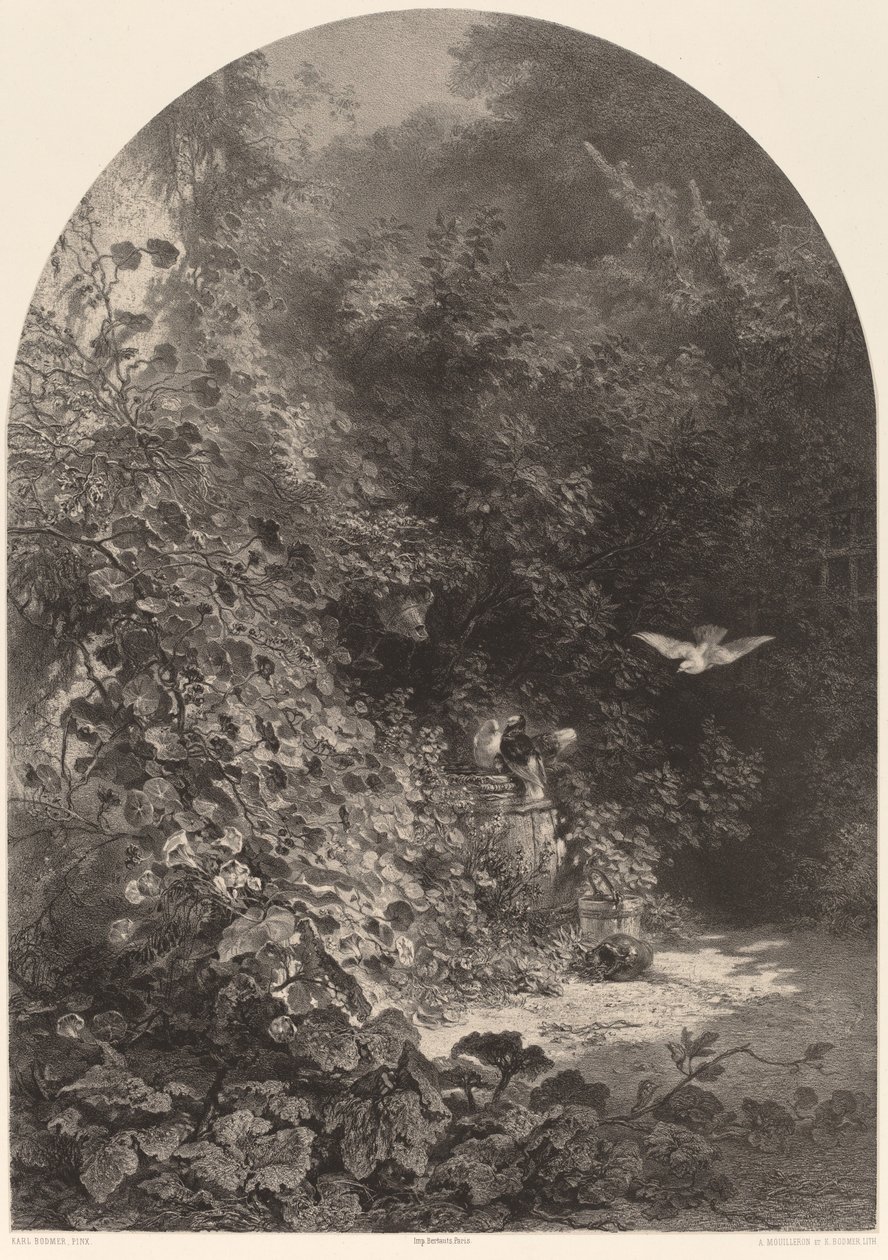 Et hjørne af haven af Karl Bodmer