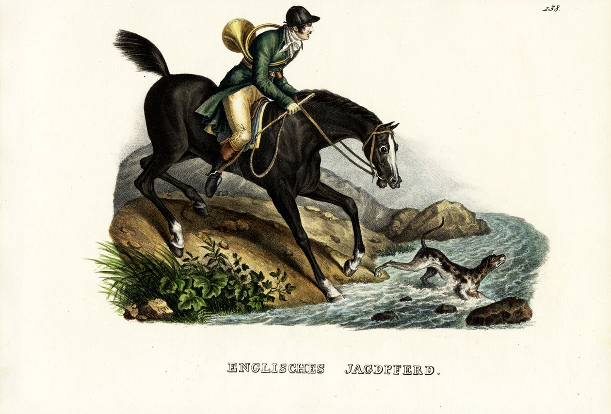 Engelsk jægerhest, 1824 af Karl Joseph Brodtmann
