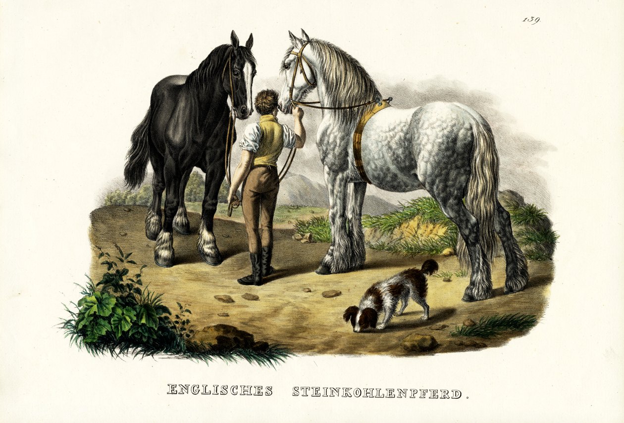 Engelsk Pit Horse, 1824 af Karl Joseph Brodtmann