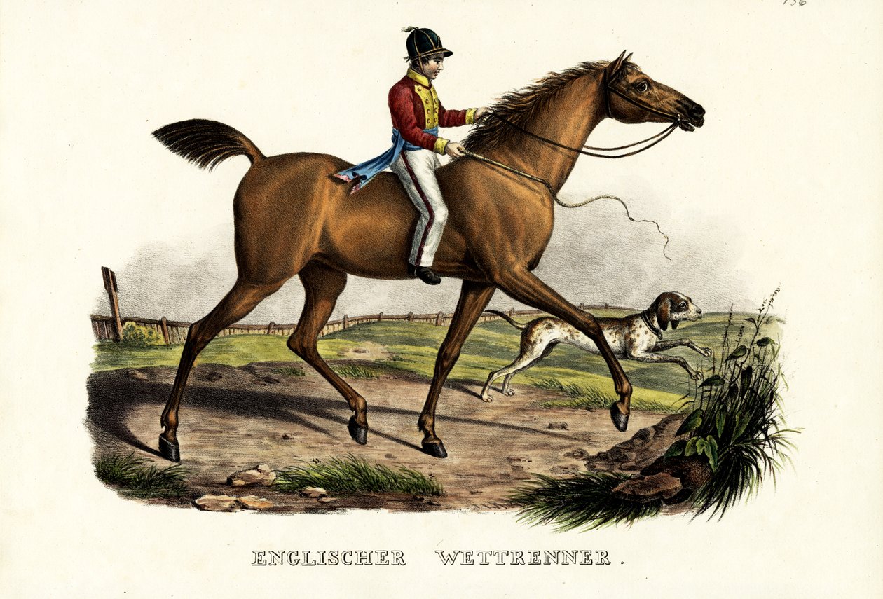 Engelsk racerhest, 1824 af Karl Joseph Brodtmann
