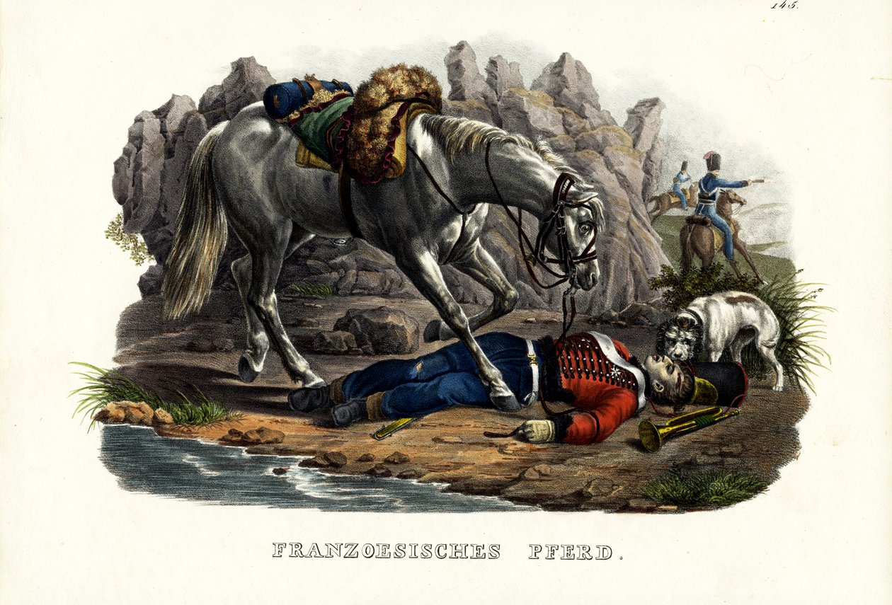 Fransk Hest, 1824 af Karl Joseph Brodtmann