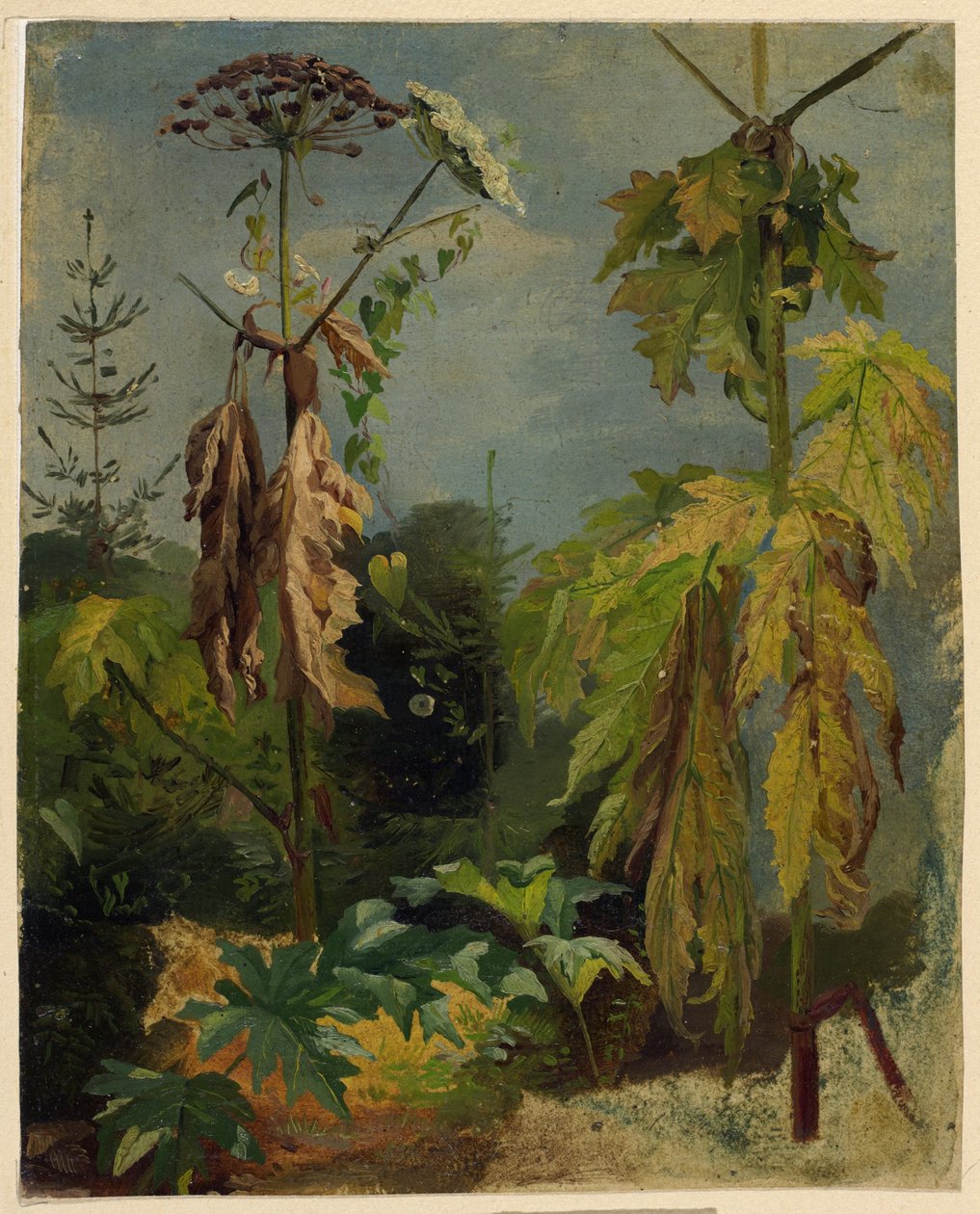 Hemlock undersøgelse af Karl Ludwig Seeger