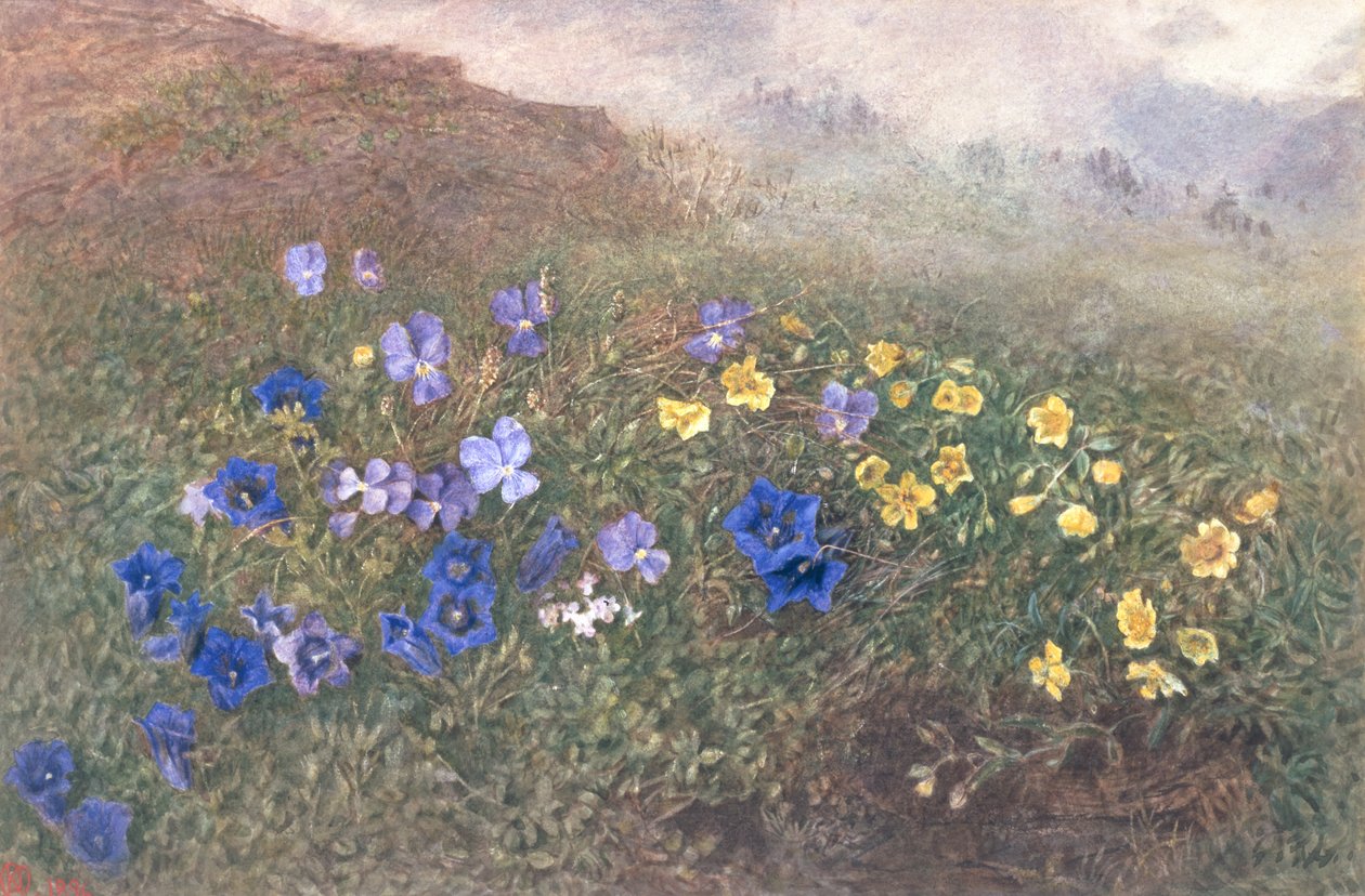 Spring Mountain Flowers, 1896 af Kate fl.1873 96 Goodwin