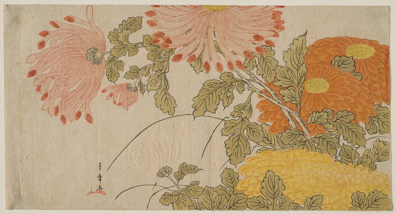 Krysantemum, ca. 1780 (træbloktryk i farver; surimono) af Katsukawa Shunsho