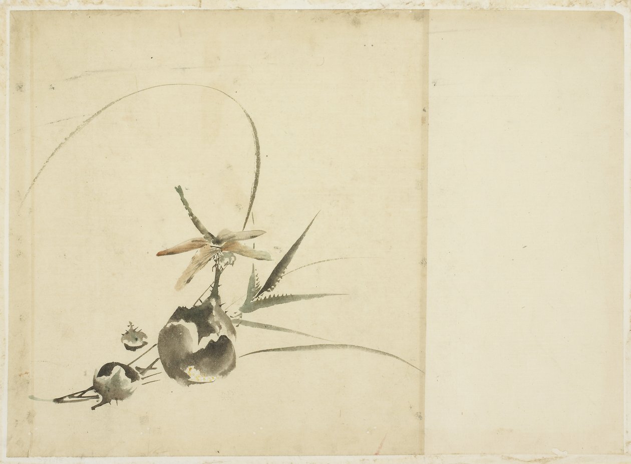 Frugtspray med Dragonfly af Katsushika (school of) Hokusai