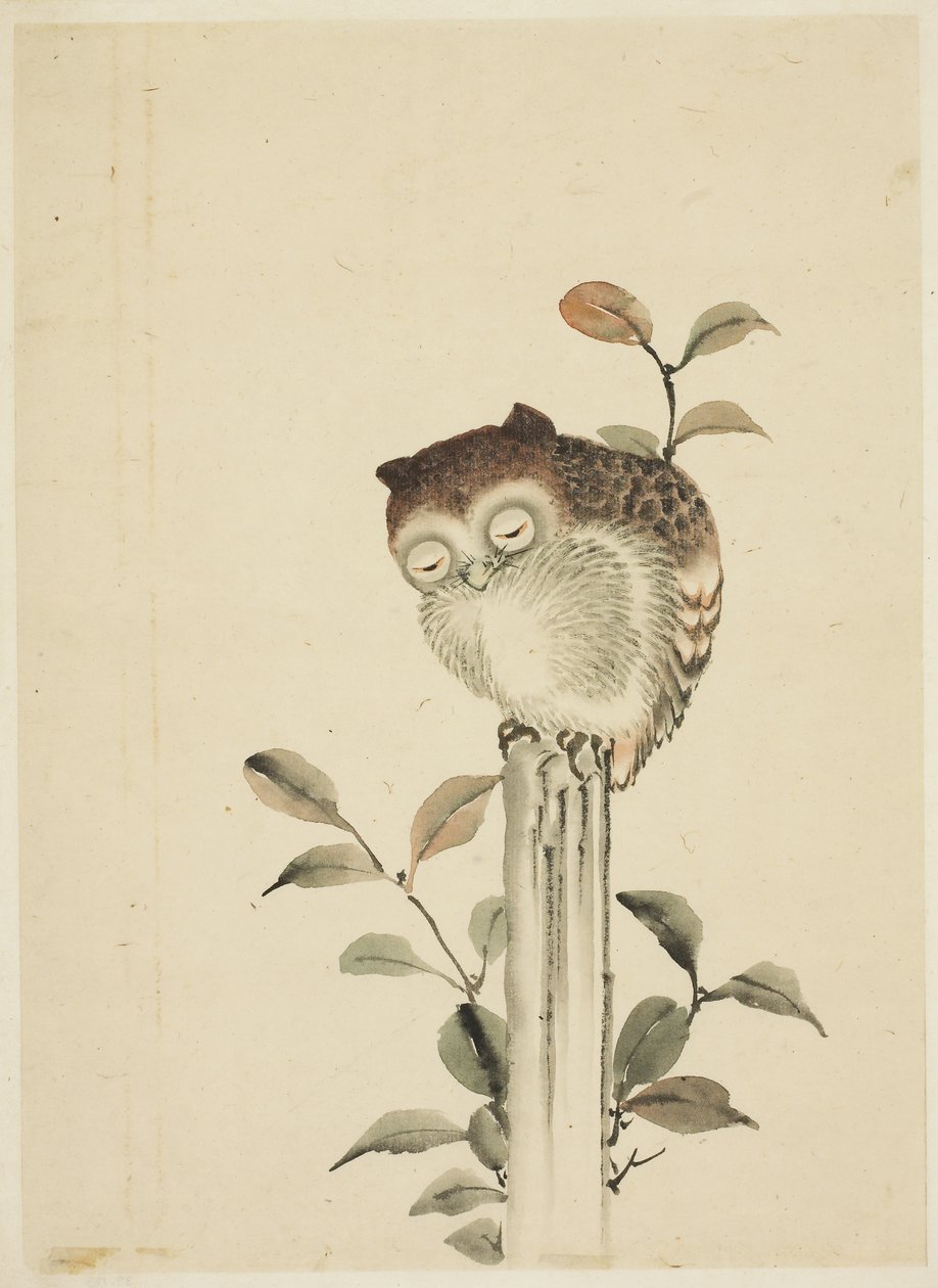 Ugle sover på en stub af Katsushika (school of) Hokusai