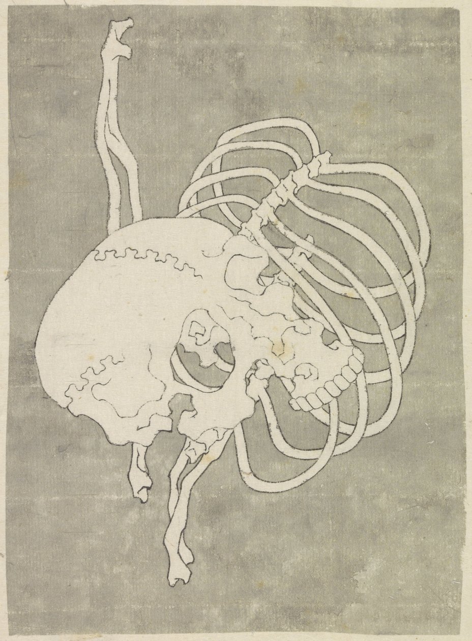 Kranie og et brystkasse af Katsushika Hokusai (possibly)
