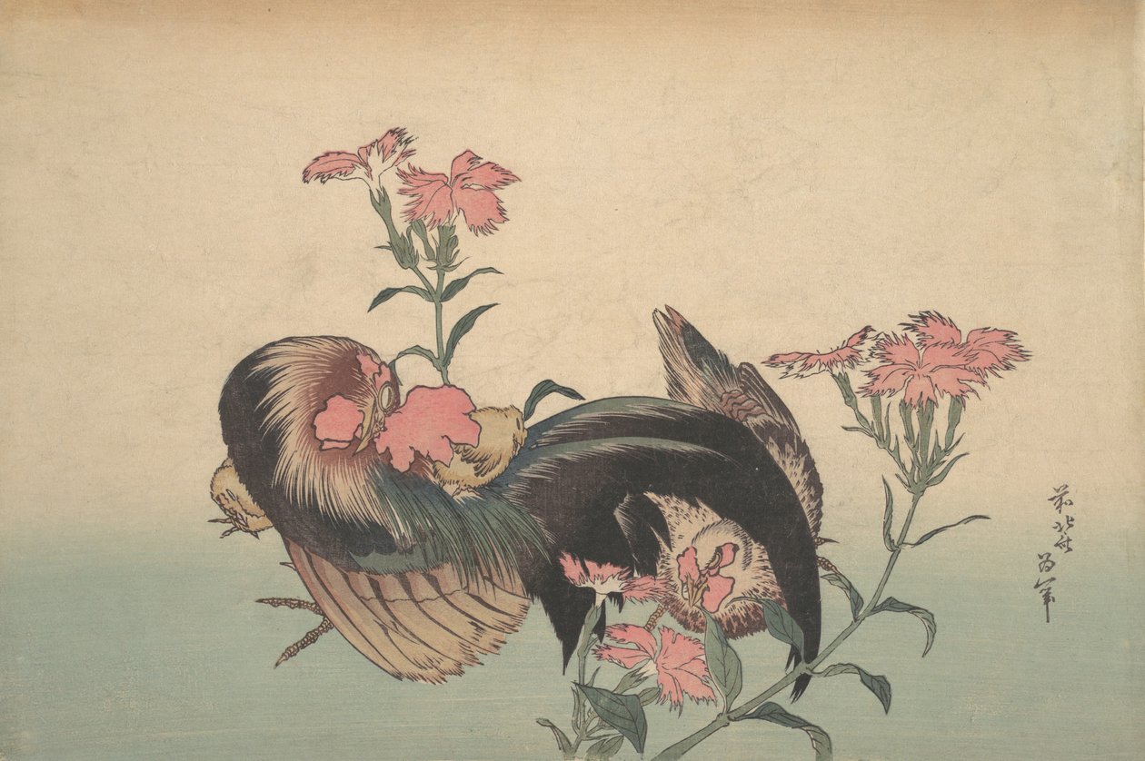 Cock, Hen og Nadeshiko Dianthus Superbus. af Katsushika Hokusai