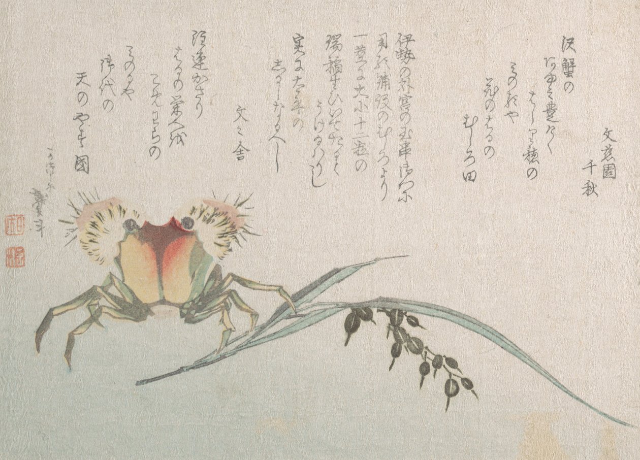 Krabbe- og risplante, 1800-tallet. af Katsushika Hokusai