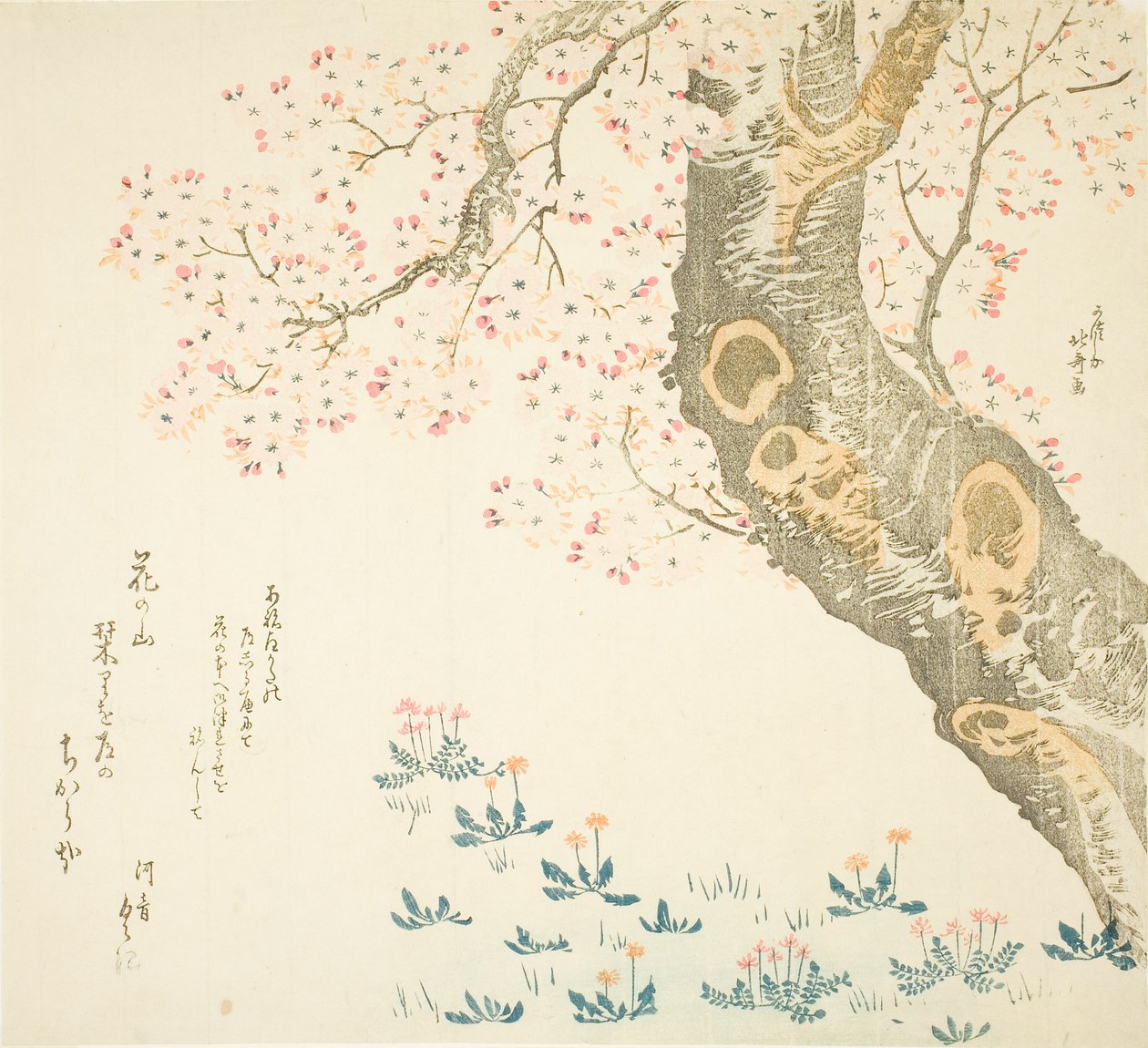 Mælkebøtter og kløver under kirsebærtræ af Katsushika Hokusai