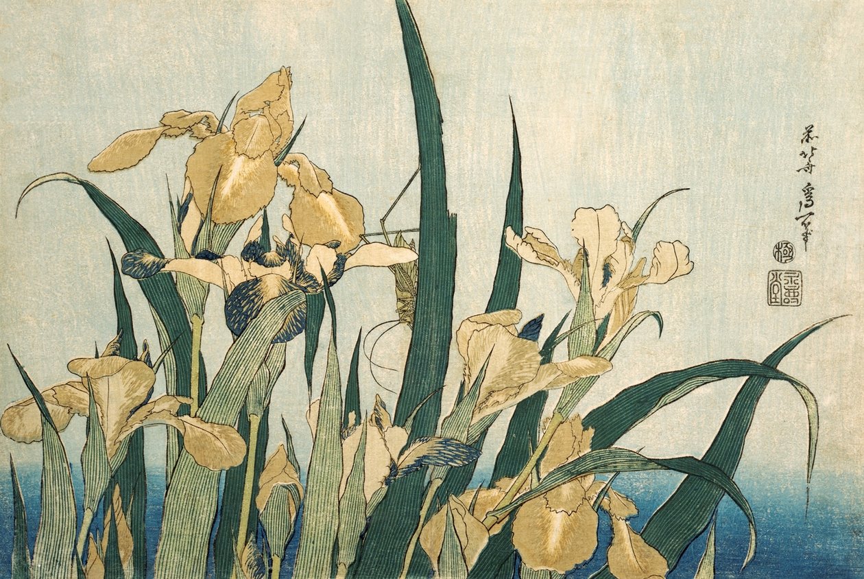 Iriser med en græshoppe, pub.1830 af Katsushika Hokusai