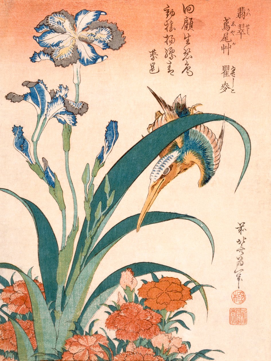 Kingfisher, Irises and Pinks, udgivet c1834. af Katsushika Hokusai