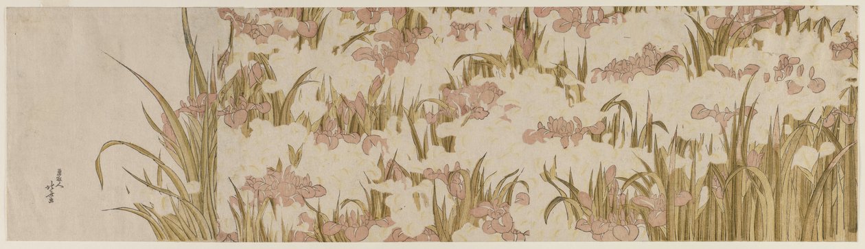 Hvide og lilla iris af Katsushika Hokusai