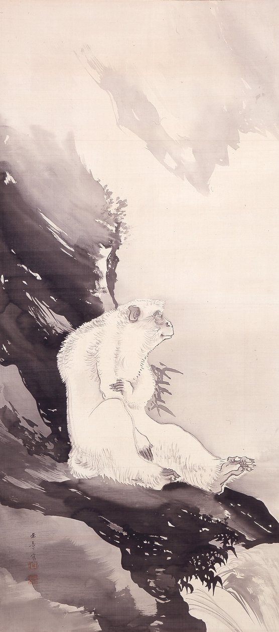 White Monkey (blæk på silke) af Kawabata Gyokushō