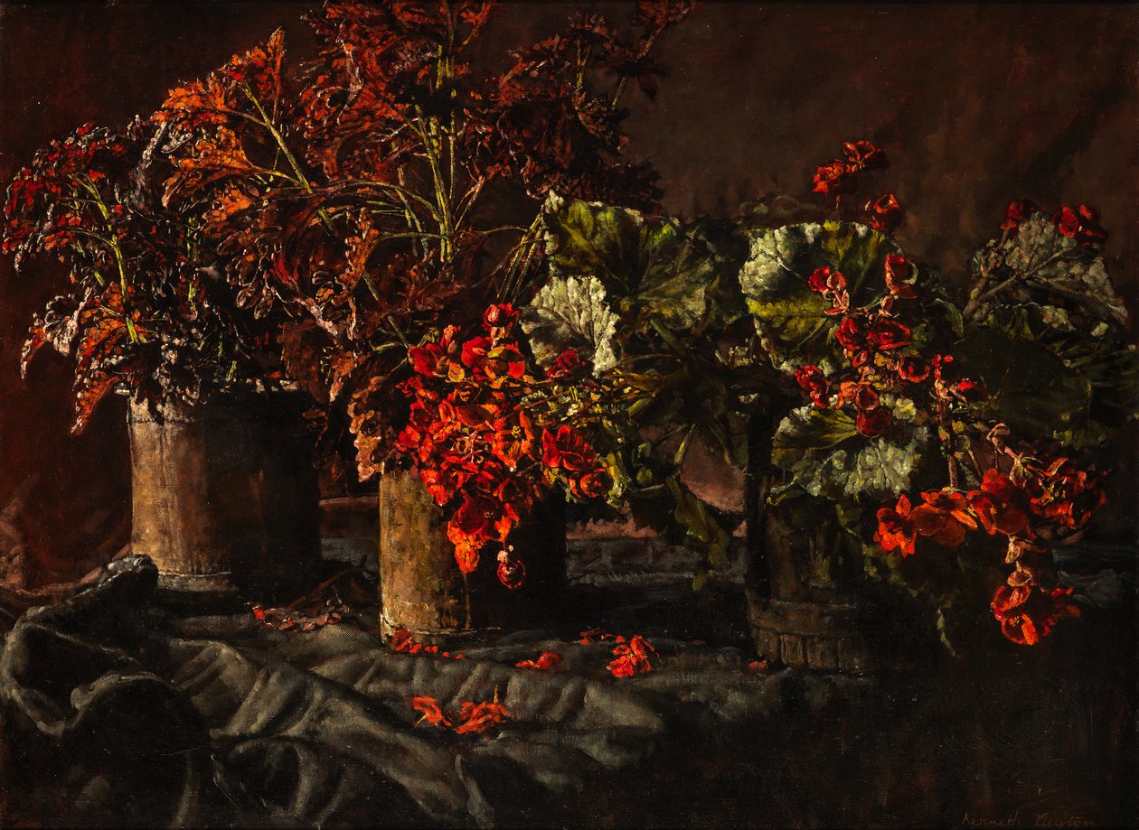 Begonia (olie på lærred) af Kenneth Newton