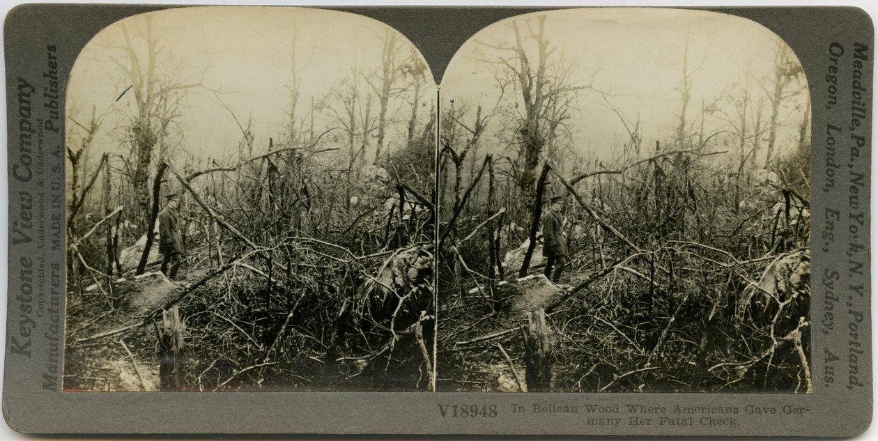 Horisontalt sepia -stereokort, der viser en uniformeret mand, der går gennem et område dækket af ødelagte træer. Keystone stereograf nummer V18948. Titlen lyder af Keystone View Company