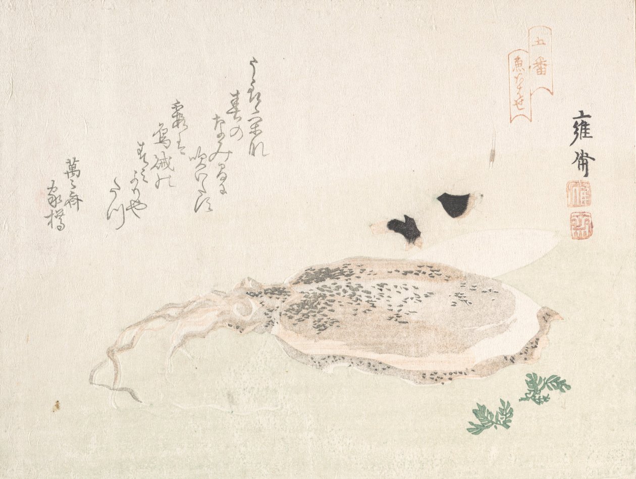Cuttle Fish, begyndelsen af det 19. århundrede. af Kikuchi Yosai