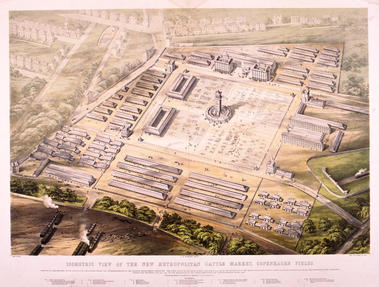 Metropolitan Cattle Market, London, 1855 af King