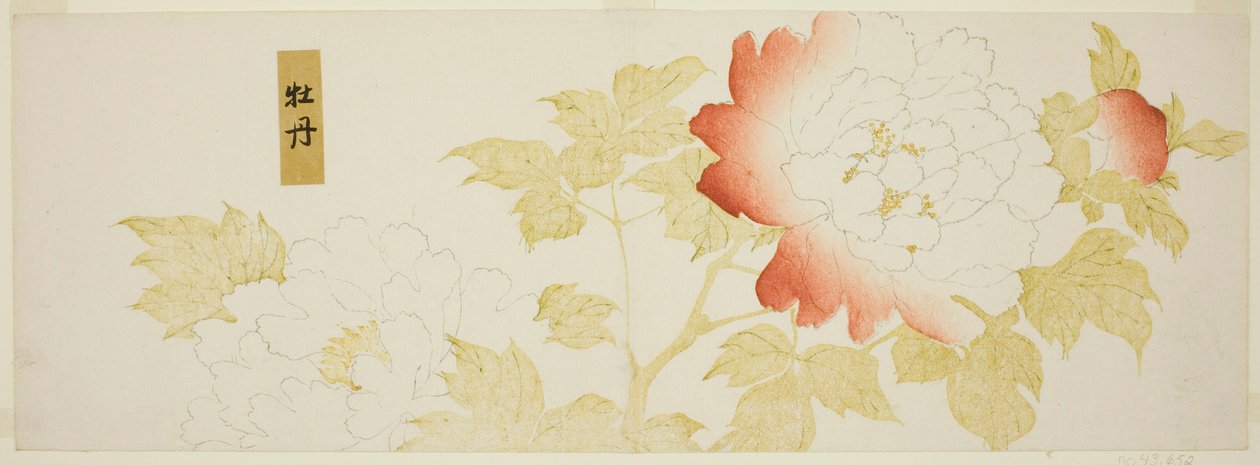 Pæoner af Kitagawa Utamaro