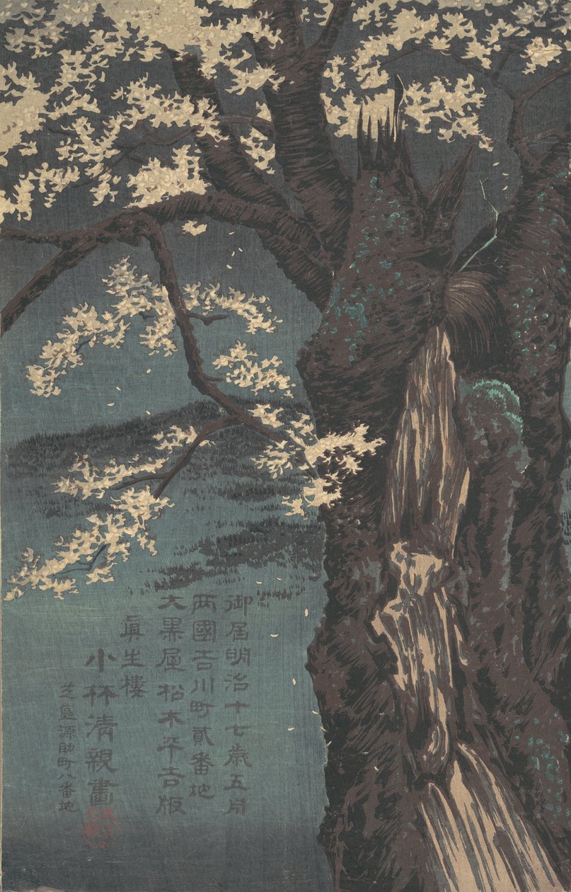 Kirsebærtræ, dateret 1874. af Kobayashi Kiyochika