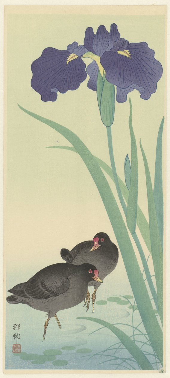 Morhøns og iris (farvetræsnit) af Ohara Koson