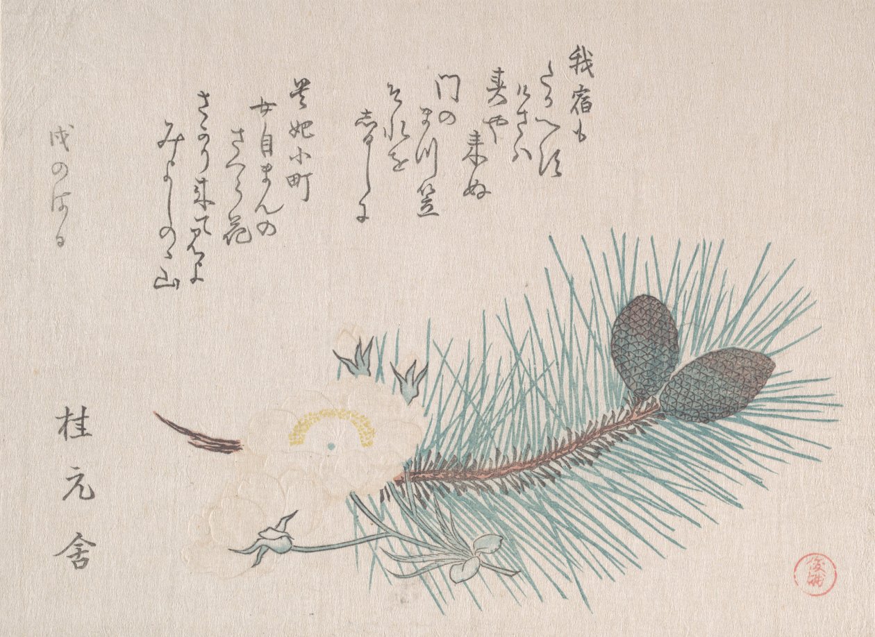 Fyrretræer og kirsebærblomster, sandsynligvis 1814. af Kubo Shunman