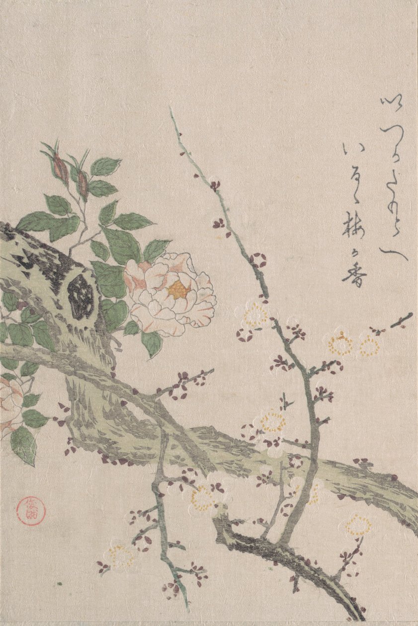 Roser og blommeblomster, 1800-tallet. af Kubo Shunman
