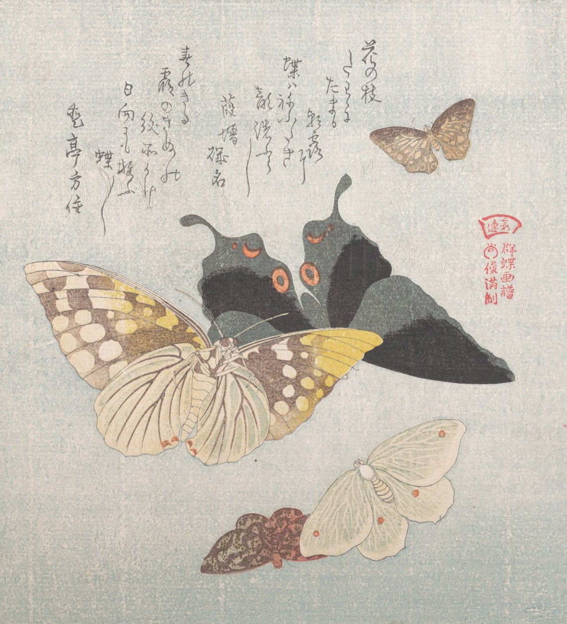 Forskellige møl og sommerfugle, 1800-tallet. af Kubo Shunman