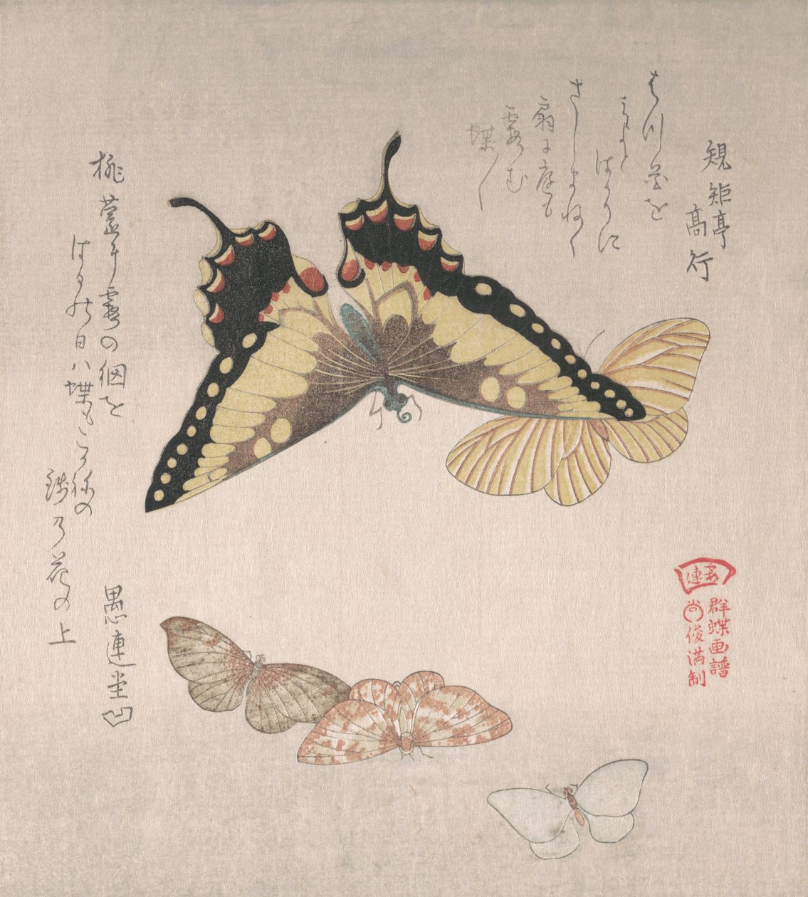 Forskellige møl og sommerfugle, 1800-tallet. af Kubo Shunman