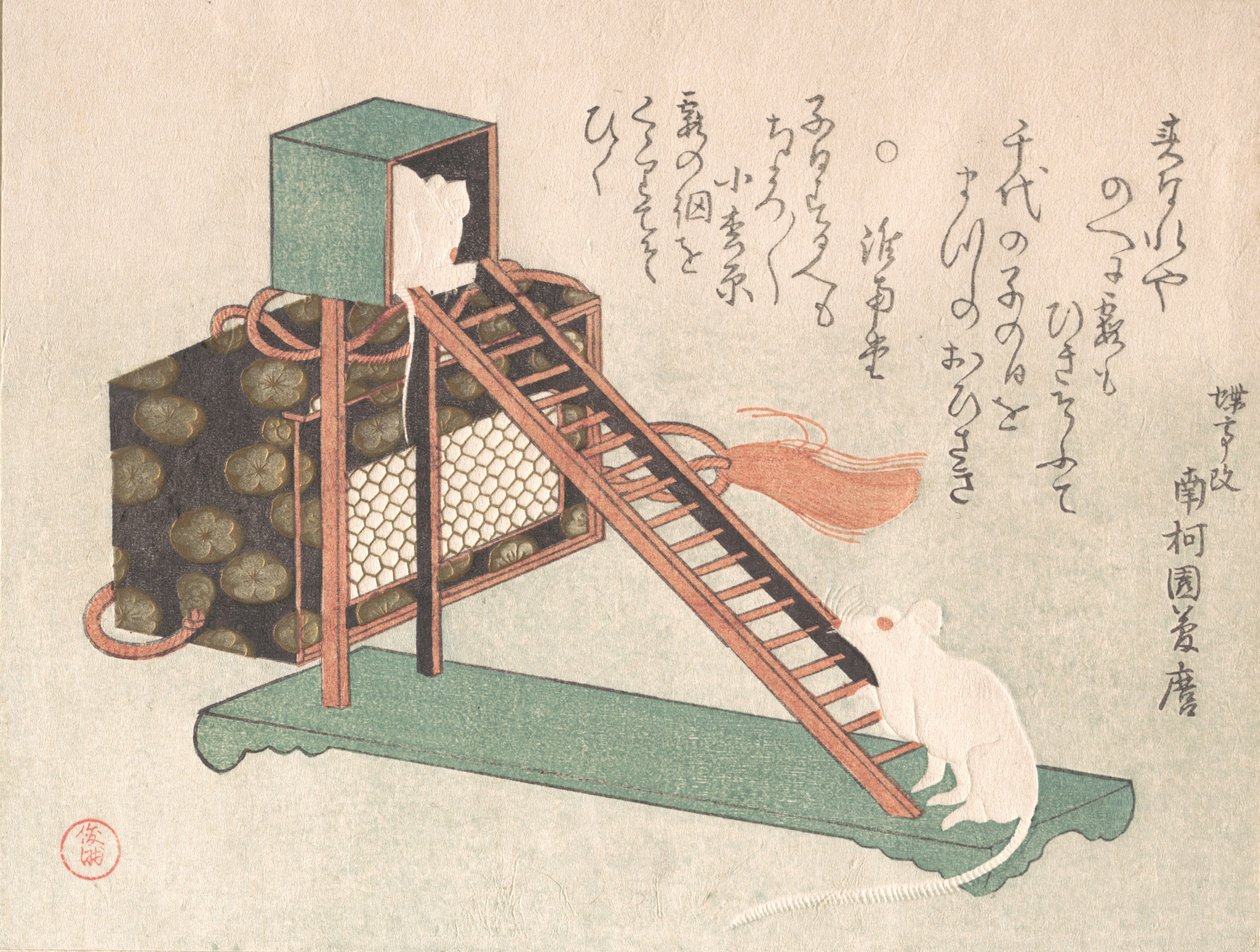 Hvide mus spiller, sandsynligvis 1816. af Kubo Shunman